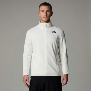 The North Face 100 Glacier Full-Zip Polar Ceketler Erkek Beyaz | NF0A15B3U