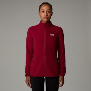 The North Face 100 Glacier Full-Zip Polar Ceketler Kadın Kırmızı | NF0A75C1G