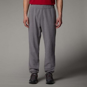 The North Face 100 Glacier Jogger Pantolon Erkek Gri | NF0A59R2N