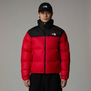 The North Face 1996 Retro Nuptse Mont Erkek Kırmızı | NF0A58F0D