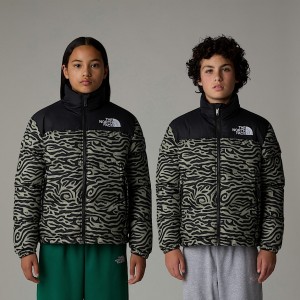 The North Face 1996 Retro Nuptse Mont Çocuk Gri | NF0A72J9O