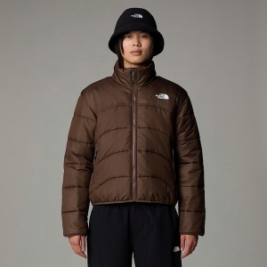 The North Face 2000 Synthetic Kaz Tüyü Mont Kadın Kahverengi | NF0A05K5D