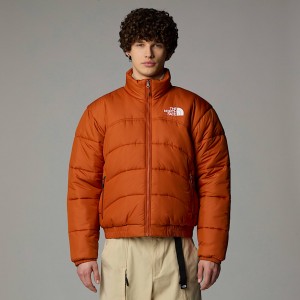 The North Face 2000 Synthetic Kaz Tüyü Mont Erkek Bakır | NF0A85J6L