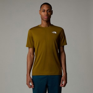 The North Face 247 Tişört Erkek Kahverengi | NF0A62G2H
