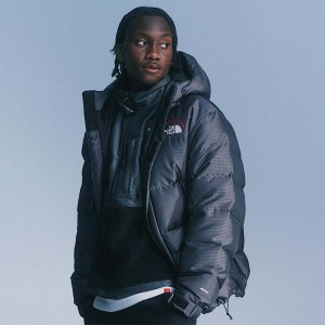 The North Face 30th Anniversary Himalayan Parka Erkek Gri | NF0A96H6W