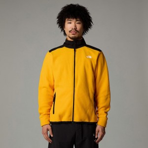 The North Face Alpine Polartec® 200 Polar Ceketler Erkek Altın | NF0A84T6R