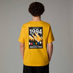 The North Face Anniversary Tişört Erkek Altın | NF0A26N1I
