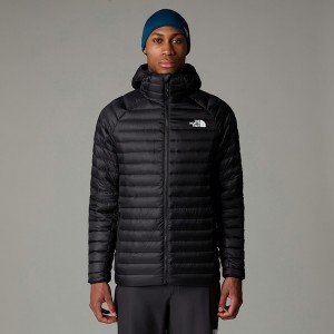 The North Face Bettaforca Hooded Kaz Tüyü Mont Erkek Siyah | NF0A77D8V