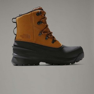 The North Face Chilkat V Lace Waterproof Bot Erkek Kahverengi | NF0A66H2V