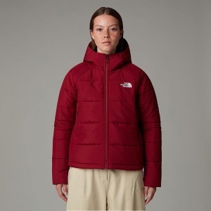The North Face Circular Synthetic Hooded Mont Kadın Kırmızı | NF0A49O6W