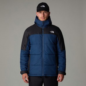 The North Face Circular Synthetic Hooded Mont Erkek Siyah | NF0A86C4Q