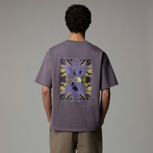 The North Face City Graphic Tişört Erkek Gri | NF0A50N5R