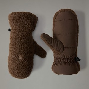The North Face Cragmont Fleece Mittens Erkek Kahverengi | NF0A43U4L