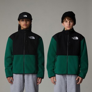 The North Face Denali Mont Çocuk Yeşil | NF0A65L4U