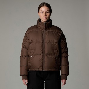 The North Face Down Paralta Kaz Tüyü Mont Kadın Kahverengi | NF0A62C4F