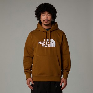 The North Face Drew Peak Kapşonlu Erkek Kahverengi | NF0A35V7M
