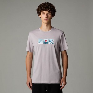 The North Face Expedition System Graphic Tişört Erkek Gri | NF0A32B6Y