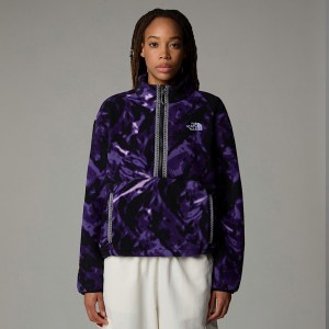The North Face Fleeski 1/4 Zip Fleece Sweatshirt Kadın Mor | NF0A52H0F