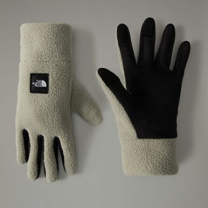 The North Face Fleeski Etip™ Eldiven Erkek Gri | NF0A34S1S