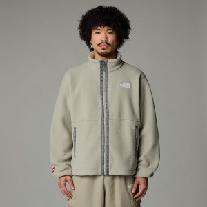 The North Face Fleeski Full-Zip Polar Ceketler Erkek Gri | NF0A94W2R