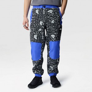 The North Face Fleeski Y2K Printed Pantolon Erkek Siyah | NF0A44S0Z