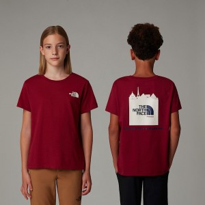 The North Face France Redbox Tişört Çocuk Kırmızı | NF0A07F3L