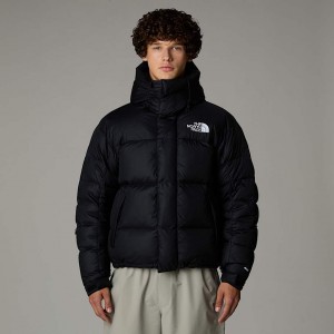The North Face Himalayan Baltoro Mont Erkek Siyah | NF0A73L9F