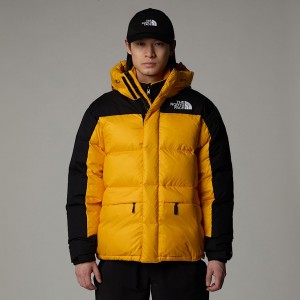 The North Face Himalayan Down Parka Erkek Altın | NF0A30I4Q