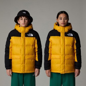 The North Face Himalayan Down Short Parka Çocuk Altın | NF0A00U3C