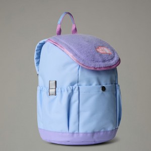 The North Face Kids Mini Explorer Sırt Çantası Erkek Mavi | NF0A51S9O