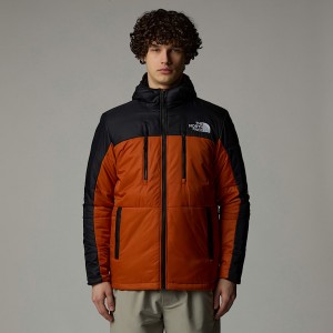 The North Face Limbara Light Synthetic Mont Erkek Bakır | NF0A41P3Q