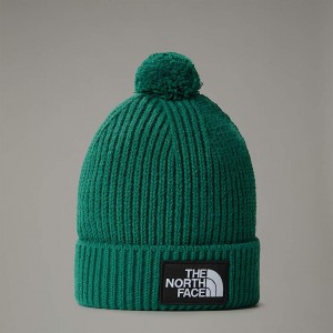 The North Face Logo Box Pom Bere Erkek Yeşil | NF0A61F3H