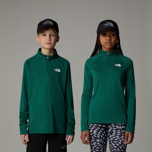 The North Face Never Stop 1/4 Zip Long-Sleeve Top Sweatshirt Çocuk Yeşil | NF0A62Y1Z