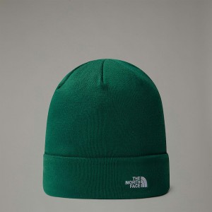The North Face Norm Bere Erkek Yeşil | NF0A54E6E