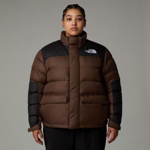 The North Face Plus Size Limbara Insulated Mont Kadın Kahverengi | NF0A79Q2J