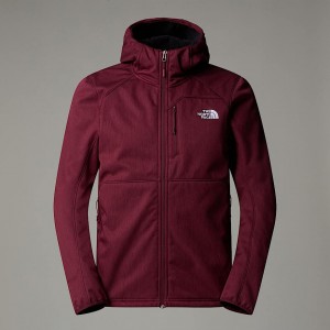 The North Face Quest Hooded Softshell Ceket Erkek Mor | NF0A06P4H