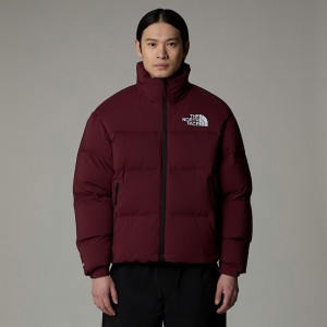 The North Face RMST Nuptse Mont Erkek Mor | NF0A57I4V