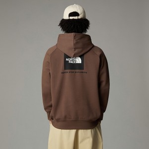 The North Face Raglan Redbox Kapşonlu Erkek Kahverengi | NF0A61G6B