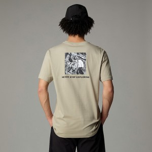 The North Face Redbox Graphic Tişört Erkek Bej Rengi | NF0A69C0S