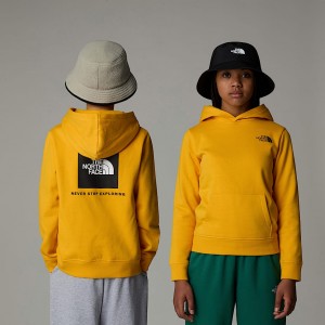 The North Face Redbox Kapşonlu Çocuk Altın | NF0A09P4C