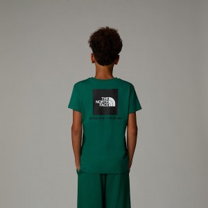 The North Face Redbox Tişört Çocuk Yeşil | NF0A78I1J