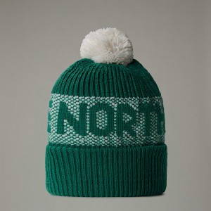 The North Face Retro Cabin Bere Kadın Yeşil | NF0A03D2P