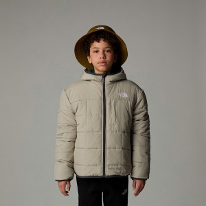 The North Face Reversible Shasta Full-Zip Hooded Mont Çocuk Gri | NF0A71J0Y