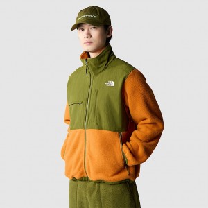 The North Face Ripstop Denali Mont Erkek Zeytin Yeşili | NF0A59P5Z