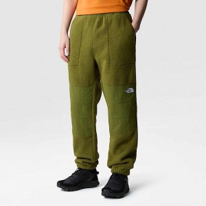 The North Face Ripstop Denali Pantolon Erkek Yeşil | NF0A49L4Q