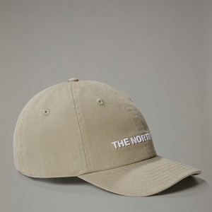 The North Face Roomy Norm Cap Şapka Erkek Gri | NF0A09X3K
