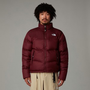 The North Face Saikuru Mont Erkek Mor | NF0A24Z4M