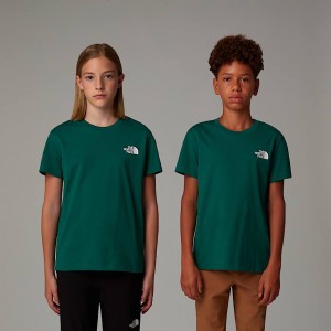 The North Face Simple Dome Tişört Çocuk Yeşil | NF0A77B1B