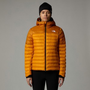 The North Face Terra Peak Mont Kadın Altın | NF0A63K4D