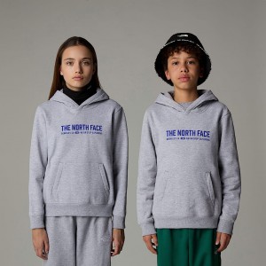 The North Face Varsity Graphic Relaxed Kapşonlu Çocuk Gri | NF0A79S6K